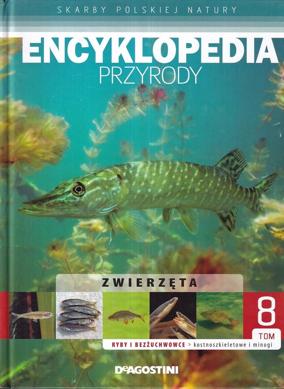 Ryby i bezżuchwowce