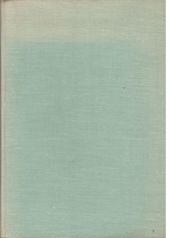 Historia literatury włoskiej w zarysie : podręcznik