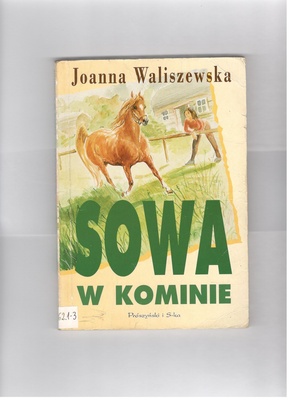 Sowa w kominie
