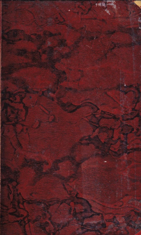 Zwierciadło w okruchach : szkice o powieści amerykańskiej i angielskiej