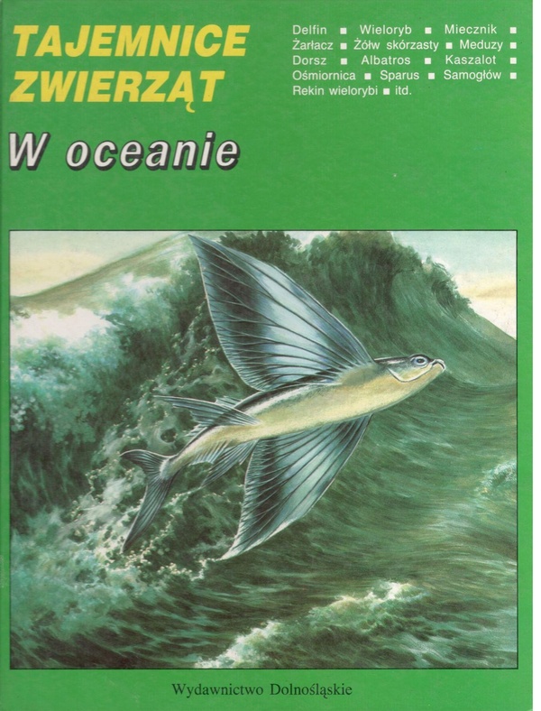 W oceanie