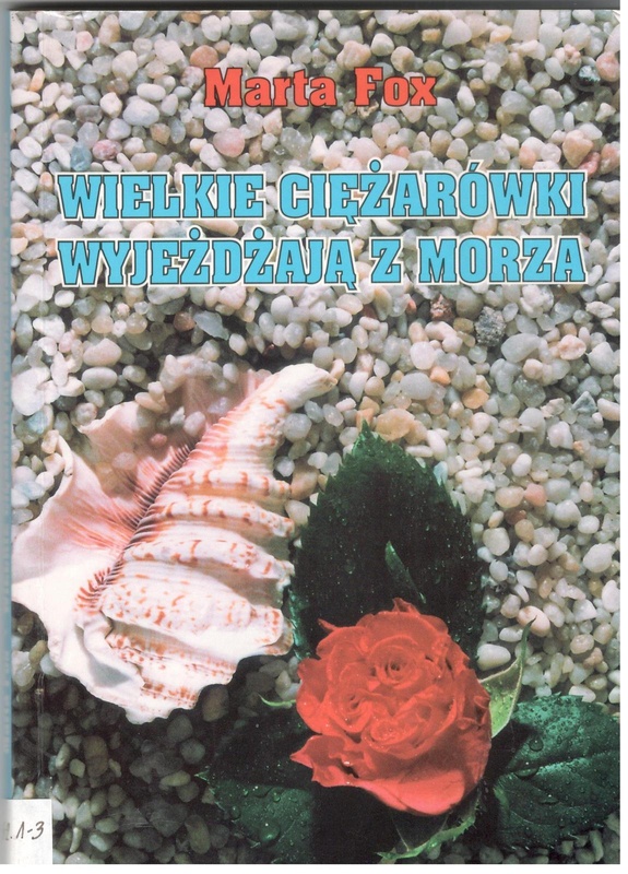 Wielkie ciężarówki wyjeżdżają z morza