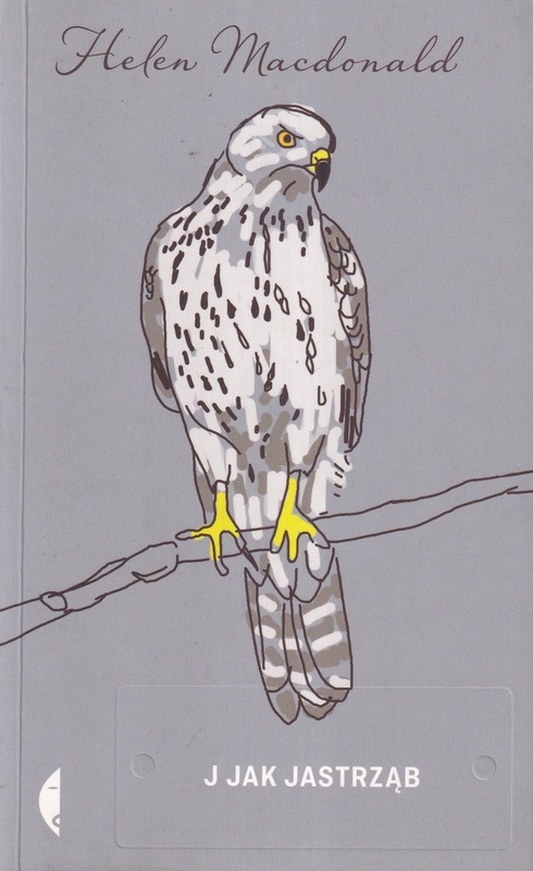 J jak jastrząb