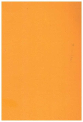 Jedenaście szkiców o prozie amerykańskiej