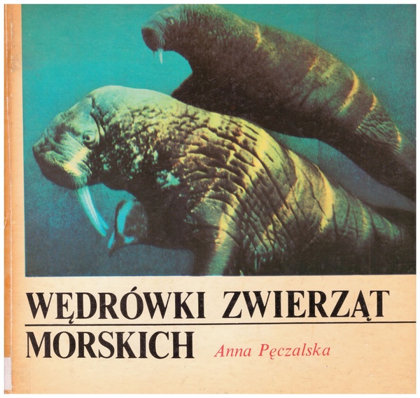 Wędrówki zwierząt morskich