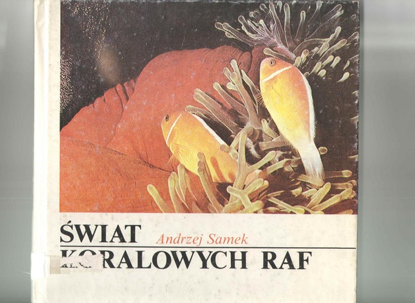 Świat koralowych raf