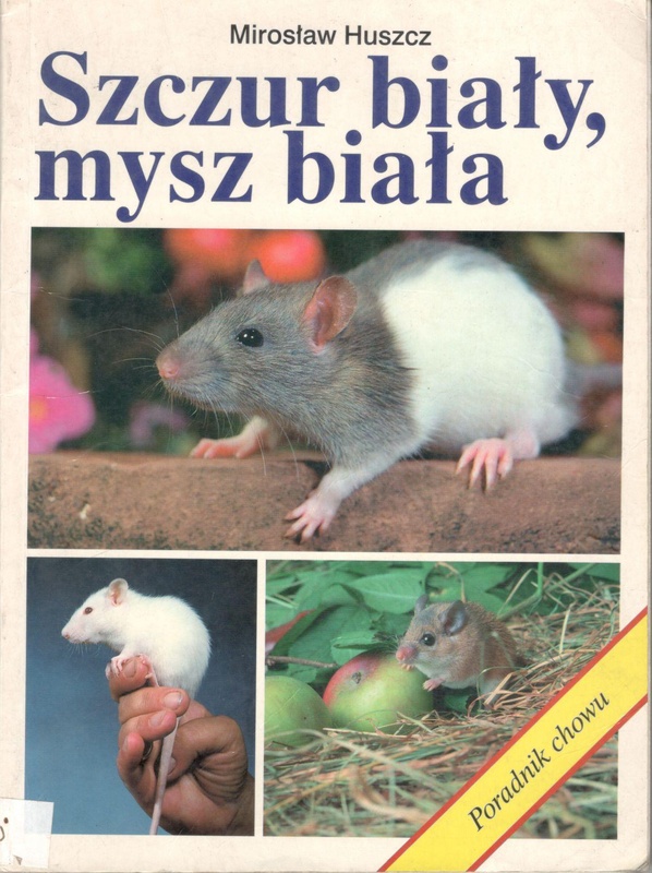 Szczur biały, mysz biała