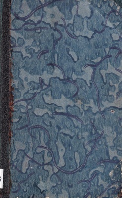 Dziennik młodego przestępcy