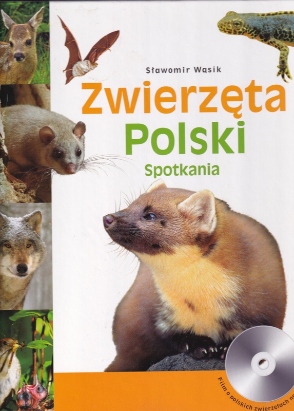 Zwierzęta Polski : spotkania