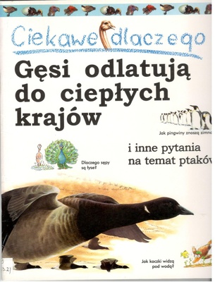 Ciekawe dlaczego gęsi odlatują do ciepłych krajów i inne pytania na temat ptaków