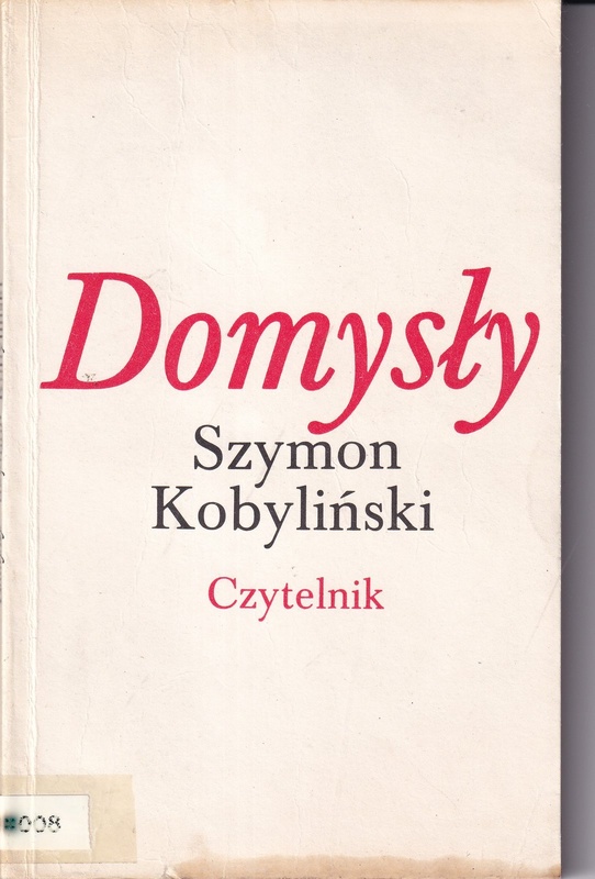 Domysły