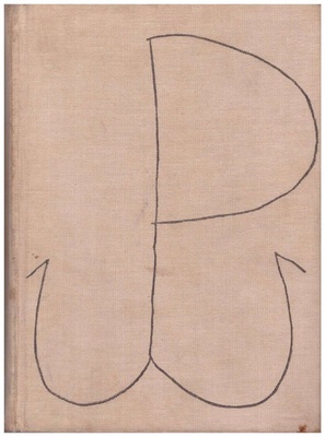 Zośka i Parasol : opowieść o niektórych ludziach i niektórych akcjach dwóch batalionów harcerskich