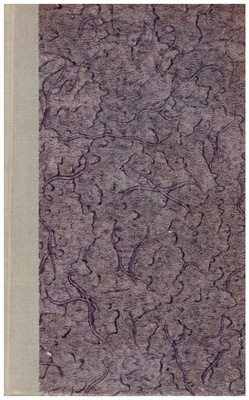 Kotły beethovenowskie : powieść