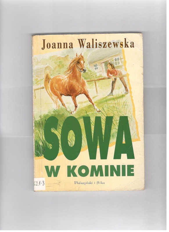 Sowa w kominie