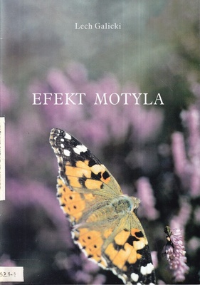 Efekt motyla