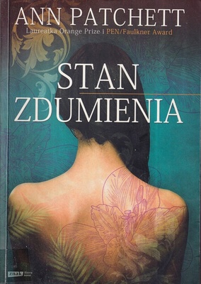 Stan zdumienia