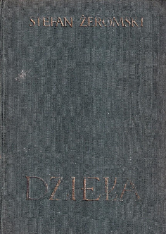 Popioły : powieść z końca XVIII i początku XIX w.. [T. 2]