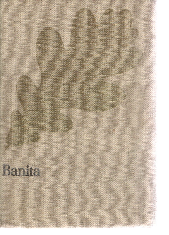 Banita : czasy Stefana Batorego