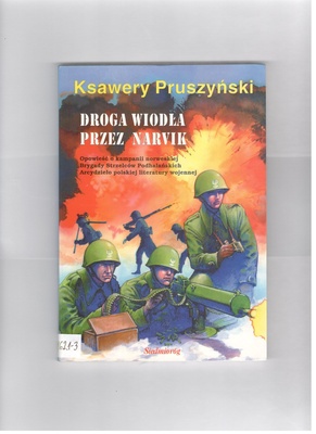 Droga wiodła przez Narvik