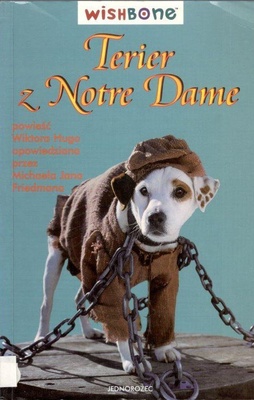 Terier z Notre Dame