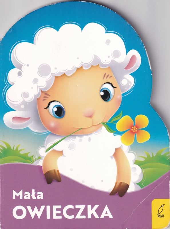 Mała owieczka