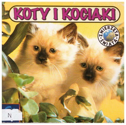 Koty i kociaki