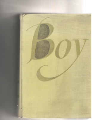 Tadeusz Żeleński (Boy) : twórczość i życie