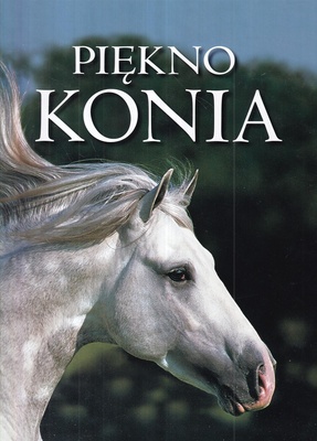 Piękno konia