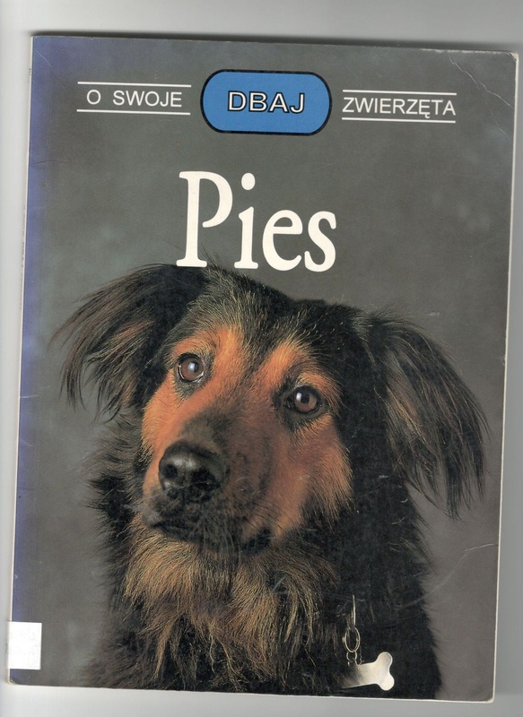 Pies