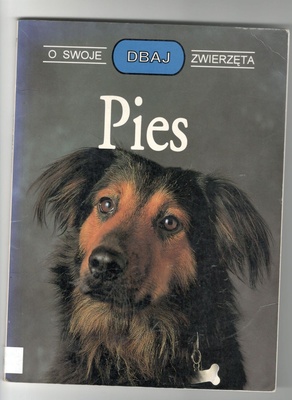 Pies