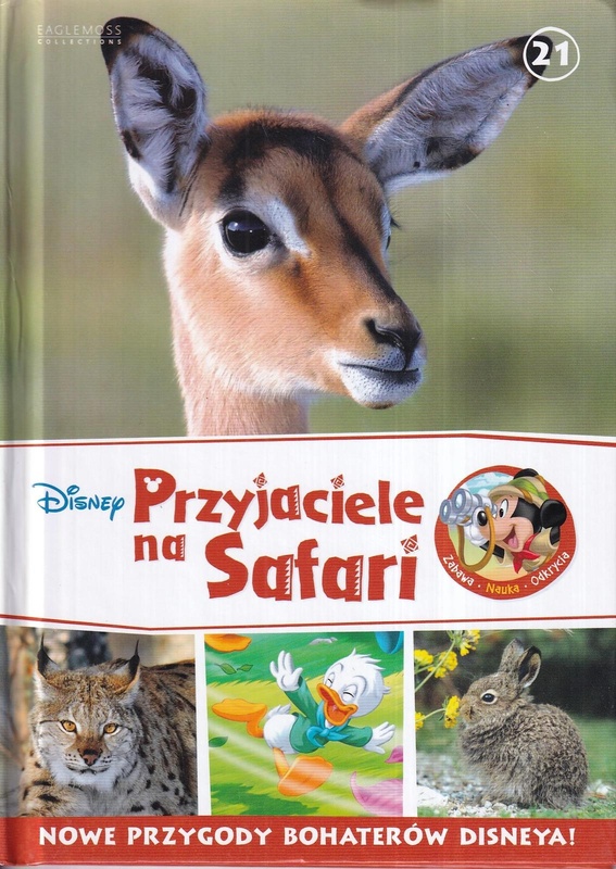 Młoda antylopa Flynn