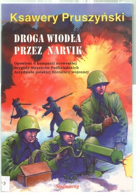 Droga wiodła przez Narvik