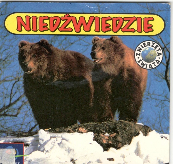 Niedźwiedzie