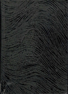 Rzeczpospolita Obojga Narodów.. [T.] 2, Calamitatis regnum