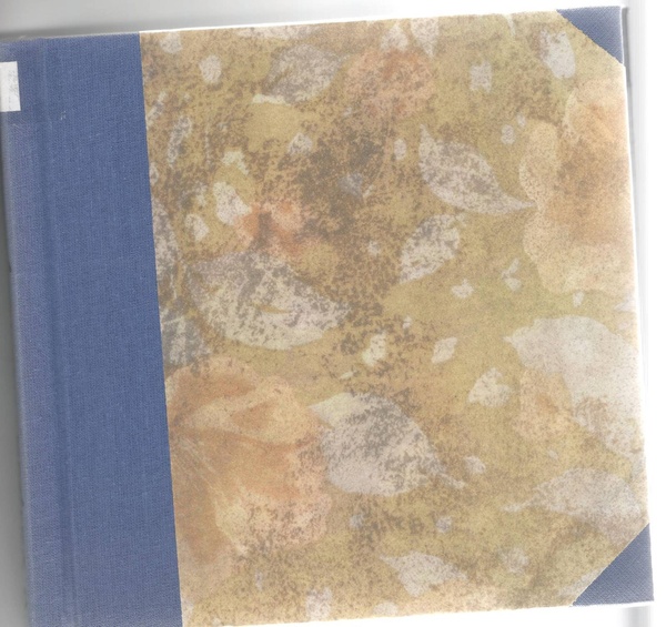 Krótka o hymnie, orłach i barwach gawęda