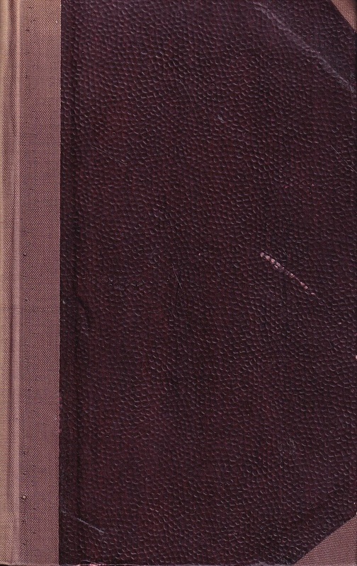 Spotkanie z Nefretete