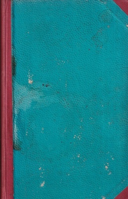 Dwór w Romarigaes : kronika powieściowa