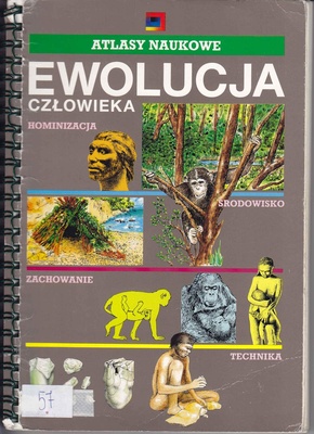 Ewolucja człowieka