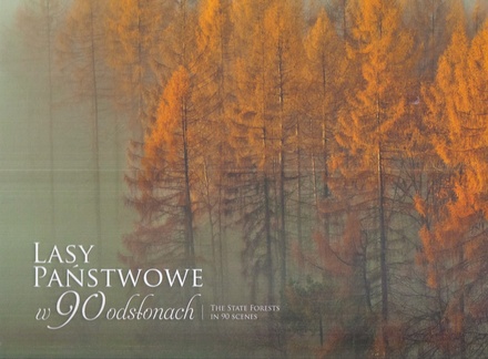 Lasy Państwowe w 90 odsłonach = The State Forests in 90 scenes