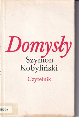 Domysły