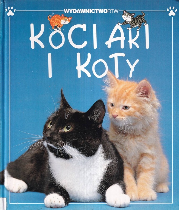 Kociaki i koty