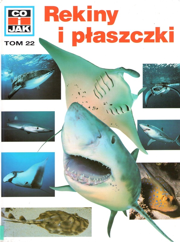 Rekiny i płaszczki