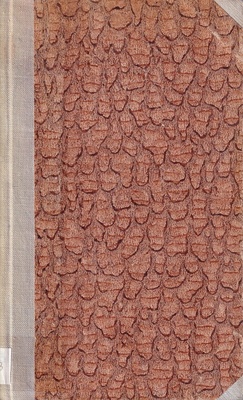 Opowieść północna