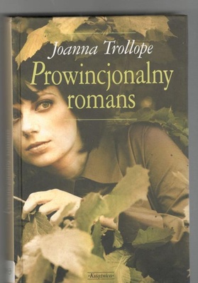Prowincjonalny romans