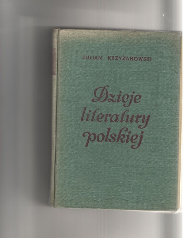 Dzieje literatury polskiej : od początków do czasów najnowszych