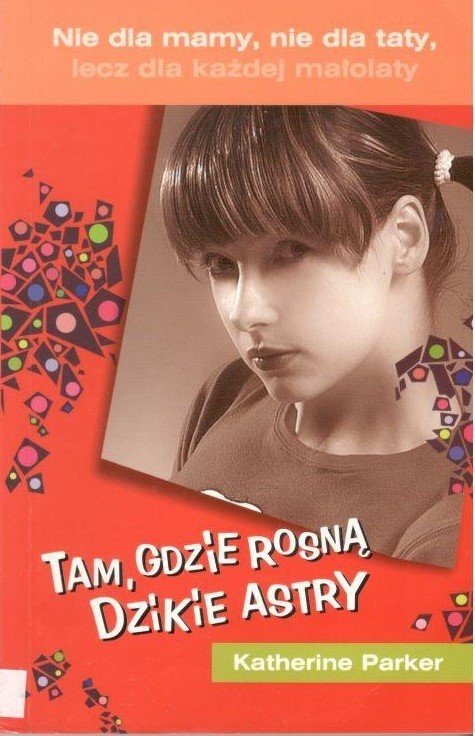 Tam, gdzie rosną dzikie astry