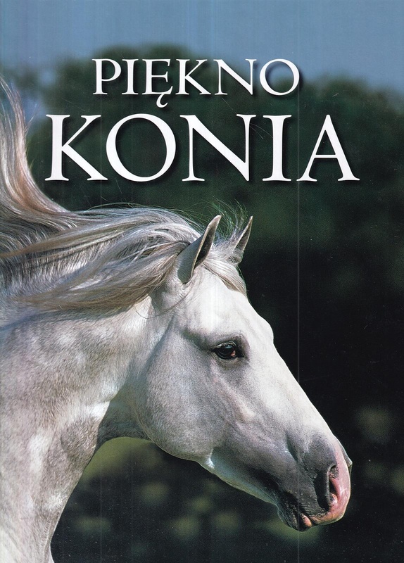 Piękno konia