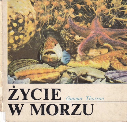 Życie w morzu