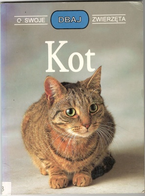 Kot