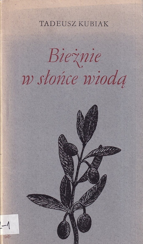 Bieżnie w słońce wiodą